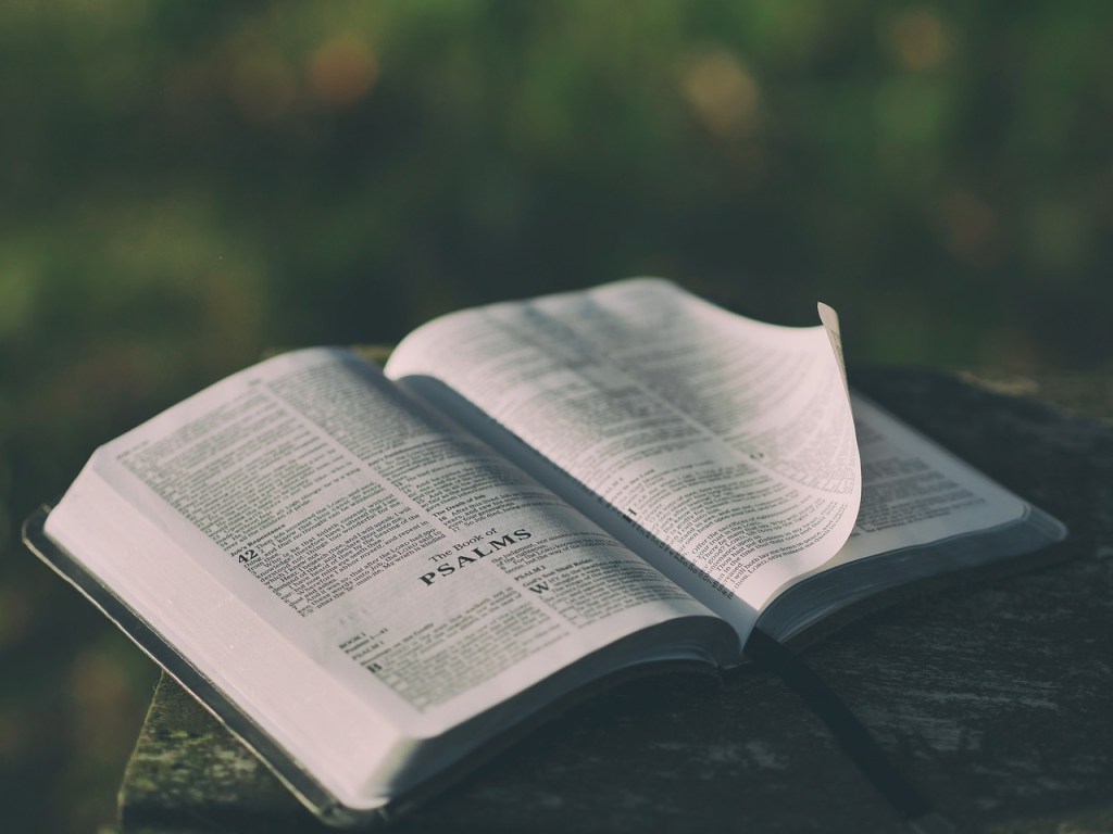 The Importance of Reading God’s Word